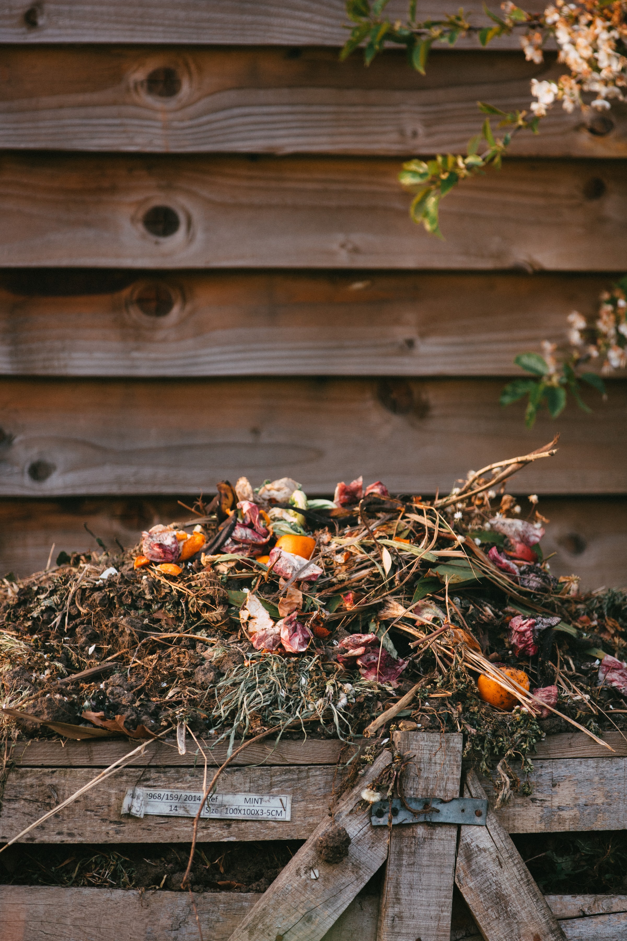 Blog post: Test je kennis over compost in 5 minuten!